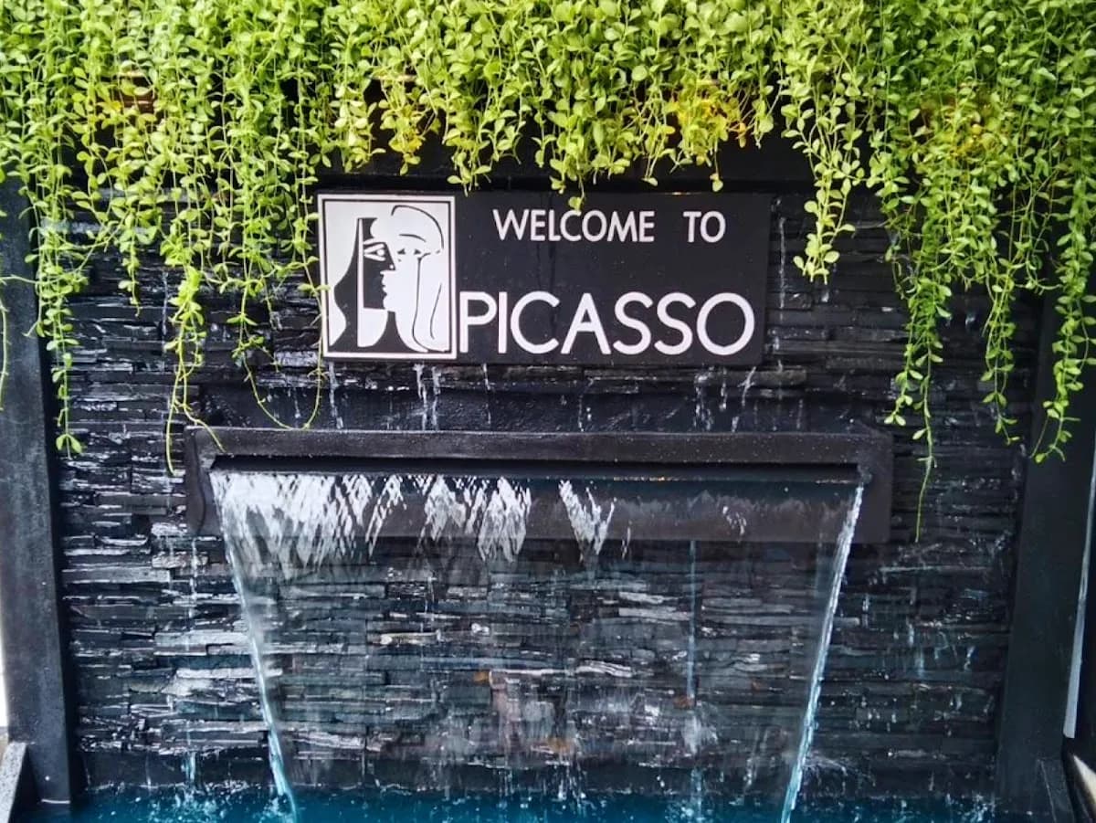 Picasso S19 photo 3