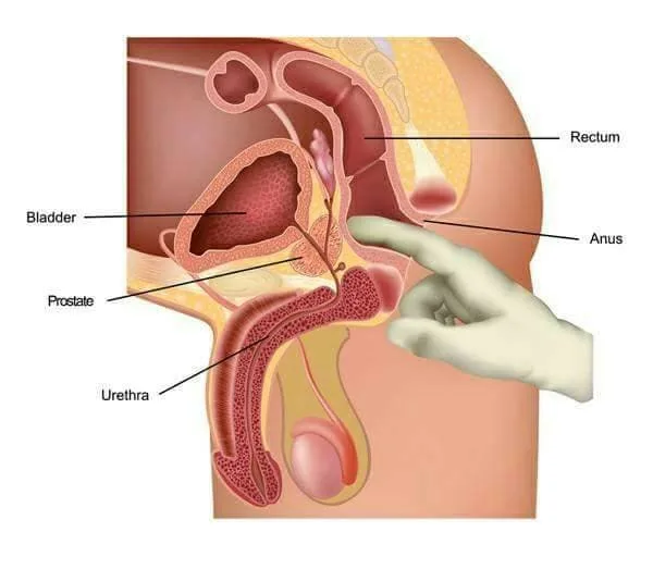 Thailandprostatemassage.com - Home