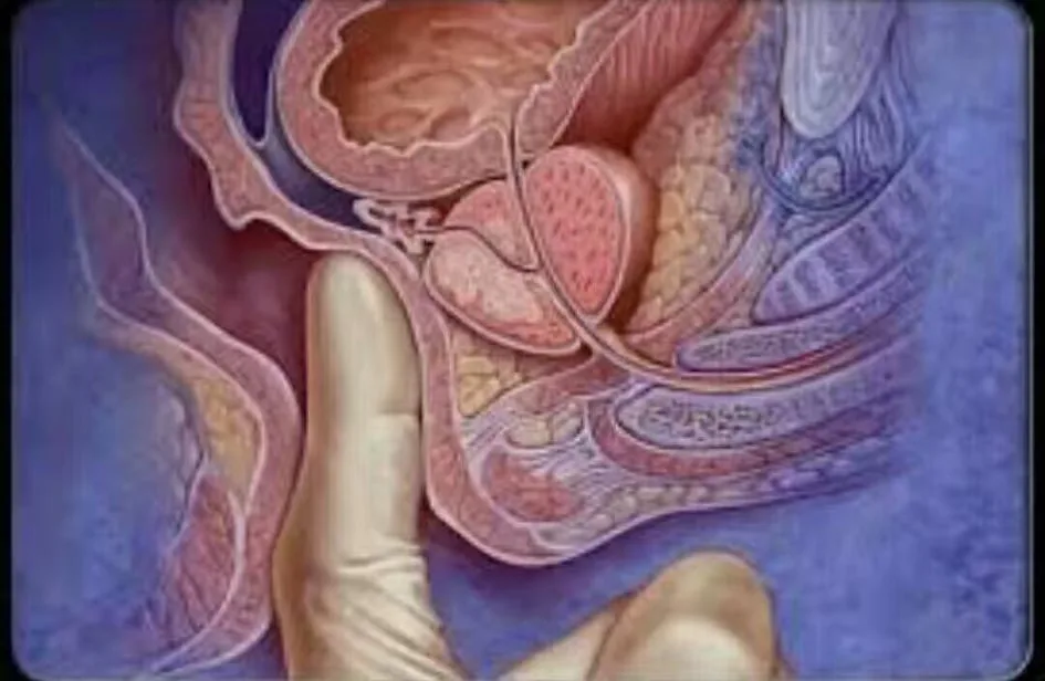 Thailandprostatemassage.com - Home