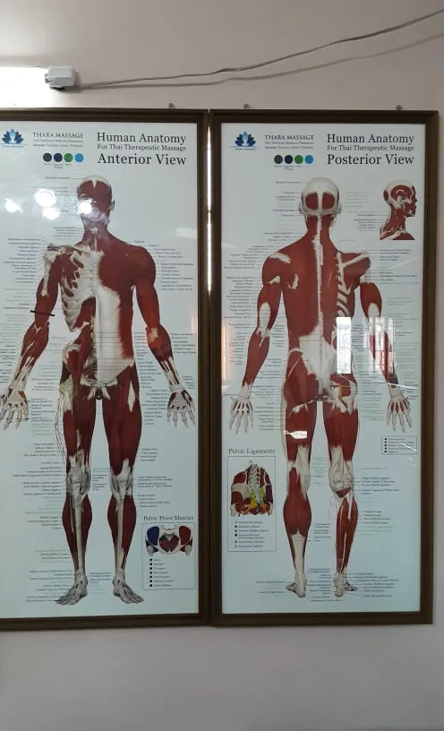 Thailandprostatemassage.com - Home