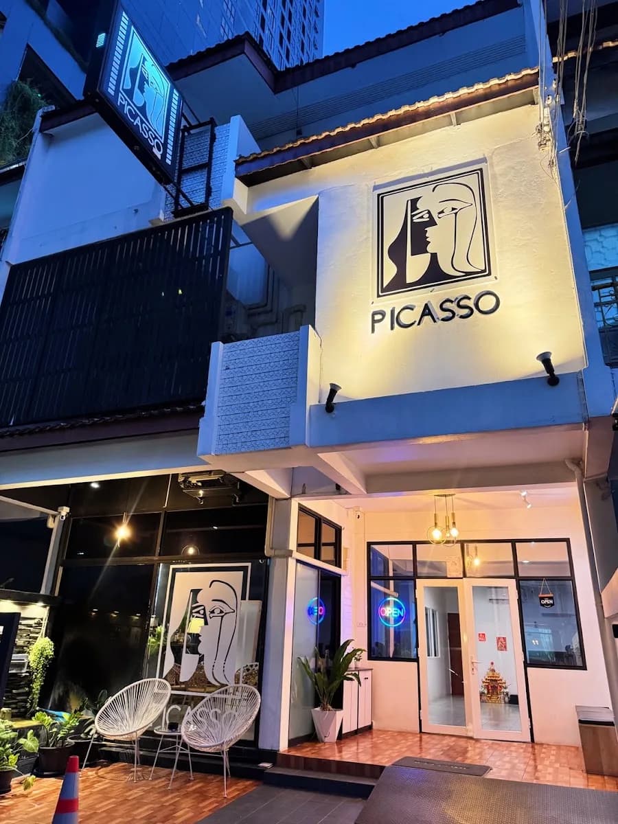 Picasso S19 cover